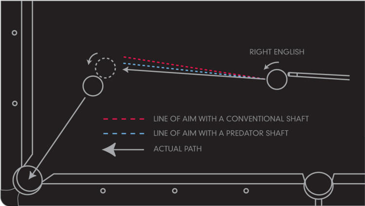 How To Adjust to Predator Cues